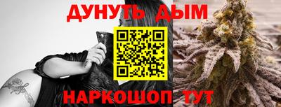 мдпв Камышлов