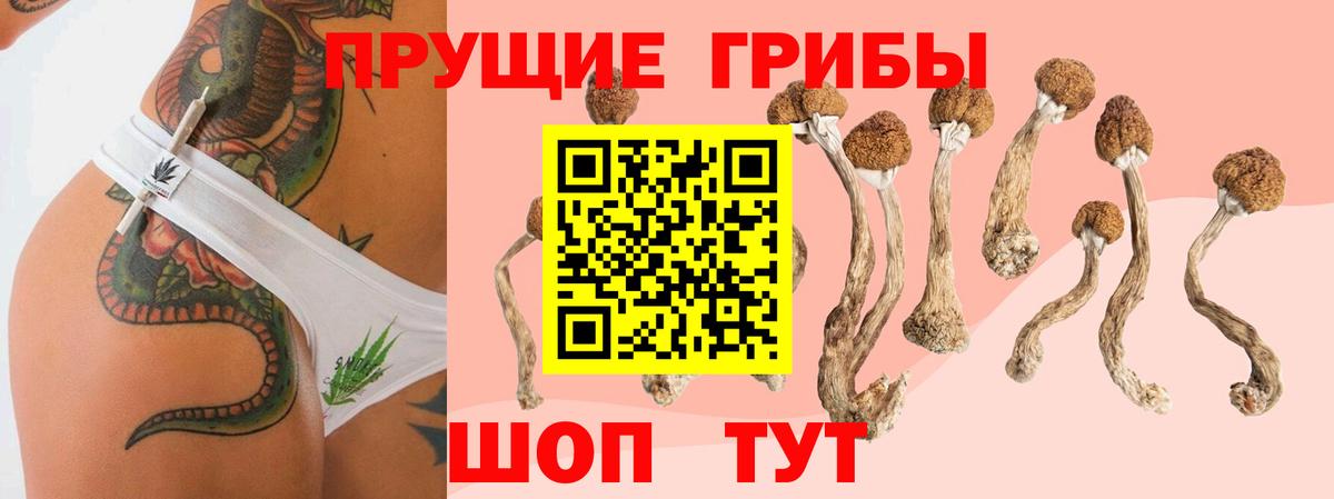 Галлюциногенные грибы ЛСД  Псилоцибиновые грибы Magic Shrooms  Щёкино  Вход с VPN 